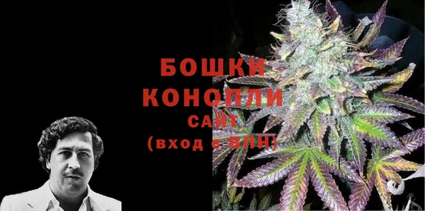 ПСИЛОЦИБИНОВЫЕ ГРИБЫ Арсеньев