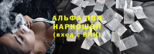 ПСИЛОЦИБИНОВЫЕ ГРИБЫ Арсеньев