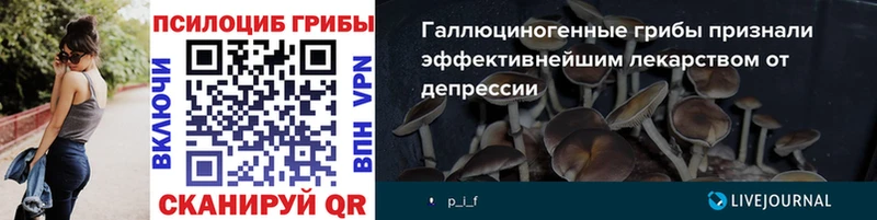 Галлюциногенные грибы мицелий  Полевской 